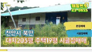 #시골집매매_대지203평 주택20평 천안시 북면 납안리 버스정류장까지 걸어서1분거리