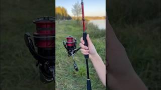 А кто ты на этой неделе? #fishing #врек #spining #spin #рыбалка #rec #спининг #shotrs #shortsvideo