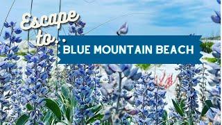 Escape to 30A Episode 7: Blue Mountain Beach, Florida 2022