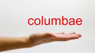 How to Pronounce columbae - American English