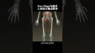 以色列（Krav Maga马伽术）人体痛点教学！ #马伽术 #防身术 #一招制敌 #人体痛点 #马伽术教学