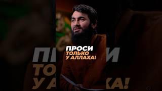 Зачем они это делают? ПРОСИ ТОЛЬКО У АЛЛАХА! | Юсуф Берхудар
