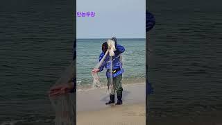 만능투망 잡는법#Shorts#투망#투망달인 #투망낚시 #동해바다 #멋진인생