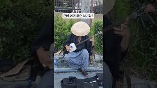 퉁퉁퉁퉁퉁 경지에 오른 사부님의 버스킹 #쇼츠 #shorts #교토 #버스킹 #shortvideo #japanese #japan #샤미센 #animation #funny #쇼츠리즘