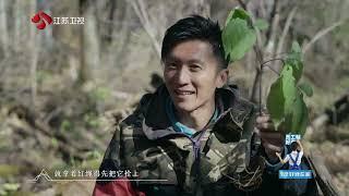 百姓的味道 谢霆锋学人参跑 20240723