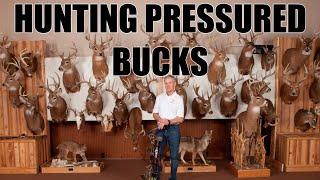 Hunting Tactics for Pressured Bucks