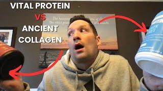 Vital Protein Collagen Vs Ancient Nutrition Multi Collagen - Which Is Better? Honest Review