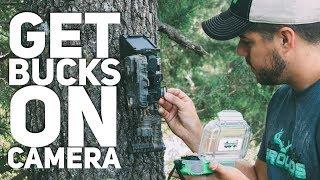 Get Bucks On Camera Without Bait In CWD Zones!  S9  #29