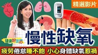 【健康好生活 超精彩回顧】疲勞 倦怠 睡不飽  小心是身體「缺氧」惹的禍 /// 雜菜炊  金汁燴雙鮮  超軟嫩蔥爆牛肉