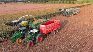 Mais 2024  : 2X Claas Jaguar 980 | Jeromin Agrar | BIG Harvest | Trucks and tractors | Maisernte 4K