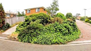 Out Of Control GARDEN BEDS get Full Restoration