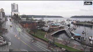 CHEK News | Nanaimo Harbour Cam 24/7 Livestream