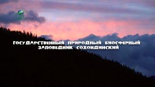 «Заповедное ожерелье Байкала». Сохондинский государственный биосферный заповедник