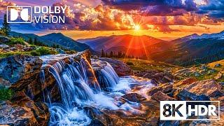 The Hidden Wonders of Nature in 8K HDR Dolby Vision 60FPS