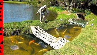 BUILDING WALL in RIVER to STOP ARCTIC SNOW STORM from FREEZING My PET FISH!