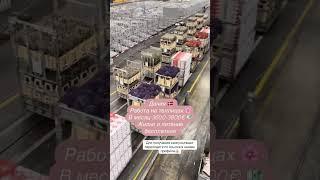 Дания  ссылка в профиле #Работа#работавевропе#нашивевропе#работазаграницей