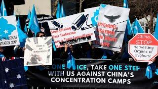 ‘Clear evidence’ of Uyghur human rights violations by China from 2016 onwards