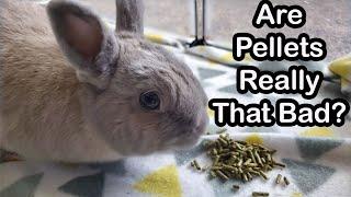 Rabbit Food: Pellets vs. Whole Foods