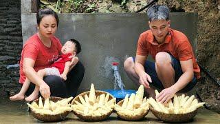 Harvesting wild bamboo shoots Goes to market sell - Chúc Tòn Bình