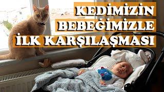 KEDİMİZİ BEBEĞİMİZLE TANIŞTIRDIK  KEDİ VE BEBEK  İlk karşılaşma  Konuşan Kedi  Kedi Videoları