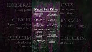 “Mother Earth’s medicine chest is full of healing herbs of incomparable worth.” -Robin Rose Bennett