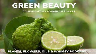 Acne Fighting Power of Plants