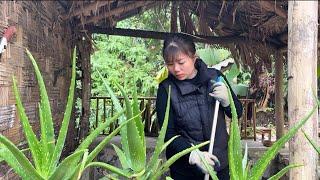 The girl left the city to return to the countryside - Living alone in an abandoned house