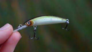 Fishing Shallow Rock Bars With Hard/ Soft Plastic Lures!!