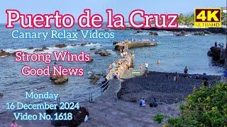 Tenerife ️ Puerto de la Cruz Strong Winds Good News 16 December 2024 Teneriffa