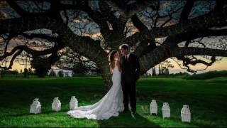 Best Destination Wedding Venues In Maui Hawaii