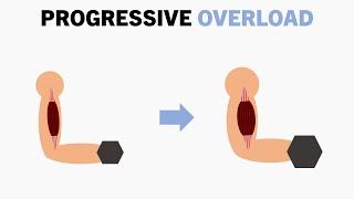 How to Apply Progressive Overload for Muscle Growth