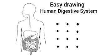 human Digestive System easy drawing #art #drawing #video