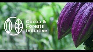 The urgency and action of the Cocoa & Forests Initiative