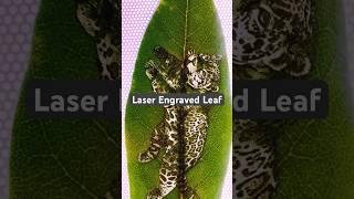 Laser Engraved Leaf EPIC! #laser #lasercut #diy #laserengraving #xtool #nature #viral #xtool #art