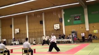 2105 Taido ITFG Sweden, Tanumshede Aki Kaukola (FIN) vs Martin Anderson (SWE)