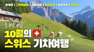10일 간의 스위스 여행 모아보기 | 여행 Tip과 기차여행 정보 가득 | 싱가폴, 스위스 항공타고 | 루체른 | 그린델발트 | 쉴트호른 | 외시넨제 | 체르마트 | 취리히🫕