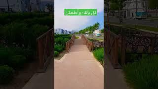 أيها الطيبين لاتنسوا الصلاة والتسليم على رسول الله فهي مفتاح  كل خير في الدنيا والآخرة