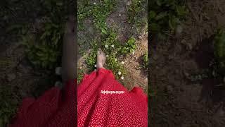 Топ 5 женских практик. Что поможет вернуть гармонию и счастье внутри. Простые способы. #психология