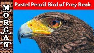 How To Draw Birds Of Prey: Pastel Pencil Guide With Jason Morgan | JasonMorgan.co.uk