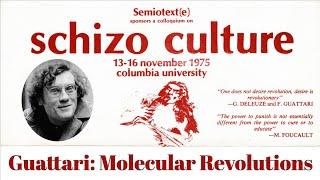 Felix Guattari's "Molecular Revolutions and Q&A" | Microfascisms and the Politics of Desire