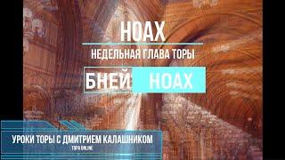 Недельная глава Торы "НОАХ" - уроки Торы 5781.