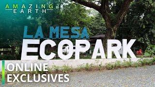 Amazing Earth: The hidden gem in Quezon City, LA MESA ECOPARK! (Online Exclusives)