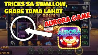 ANIMAL WORLD TRICKS SA SWALLOW  || AURORA GAME