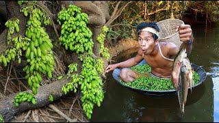 survival in jungle - Find Fruits are food Meet of coconuts & bananas & fishing  to cook delicious