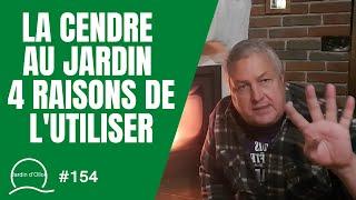 #154-La cendre au jardin, les 4 raisons de l'utiliser