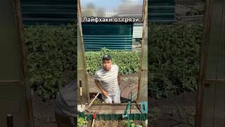Лайфхаки от грязи..(тг: Сан Тан)