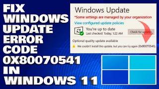 How To Fix Windows Update Error Code 0X80070541 in Windows 11/10 [ Solution]