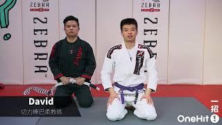 巴西柔术实战教学-隆达罗西成名技：十字固 Brazilian jujitsu teaching-Ronda Rossi famous skill: cross solid