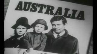 Ten pound poms - commercial 1