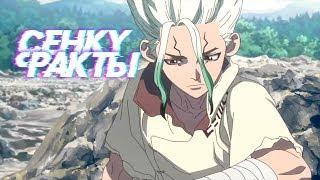 5 ФАКТОВ О СЭНКУ ИСИГАМИ / SENKUU ISHIGAMI - др.Стоун / dr.Stone